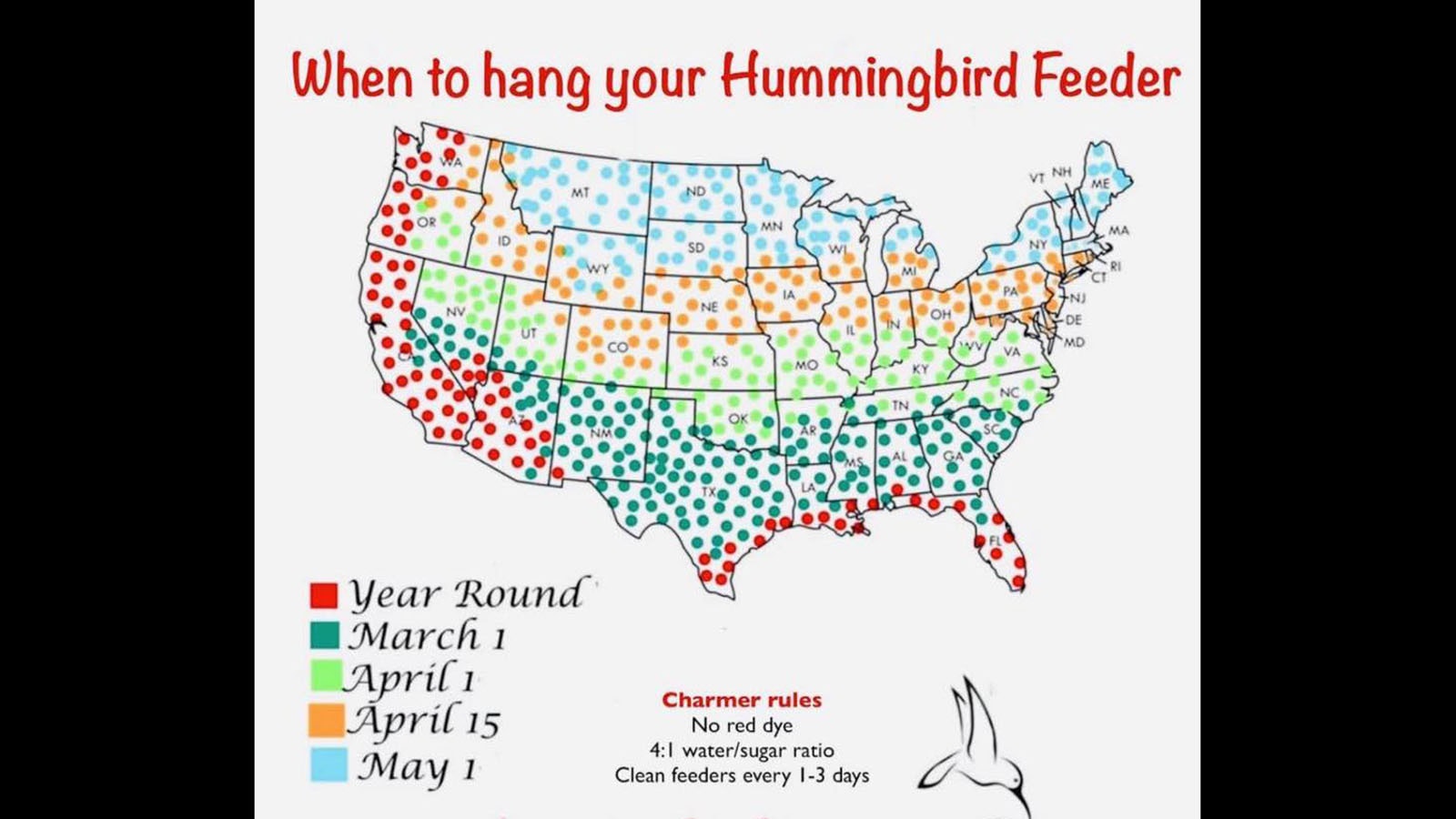 Signs of Spring Humminbird feeder advice 3 23 24