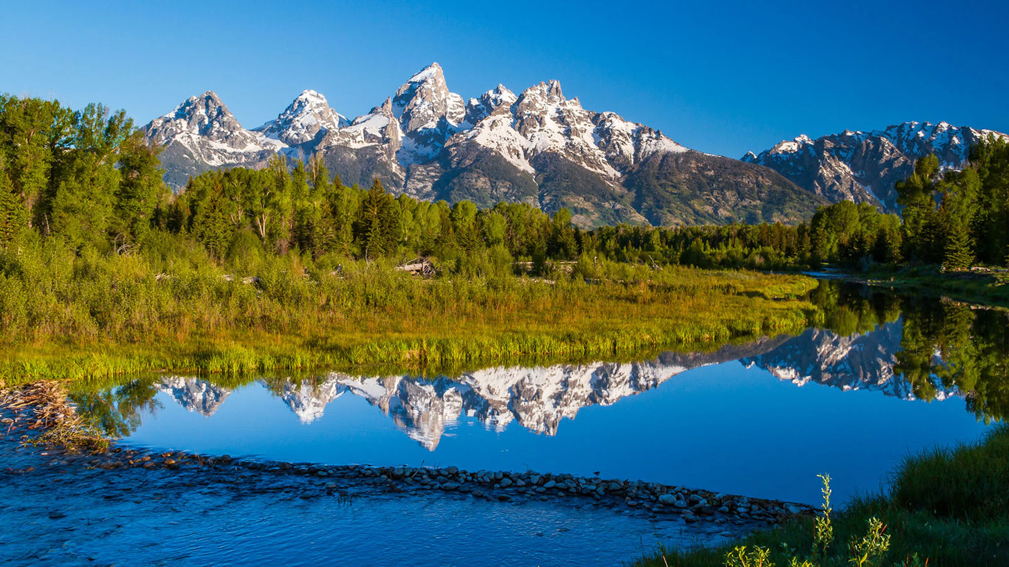 History Says Yellowstone, Grand Teton Parks Can Expect More Than 8.4M ...