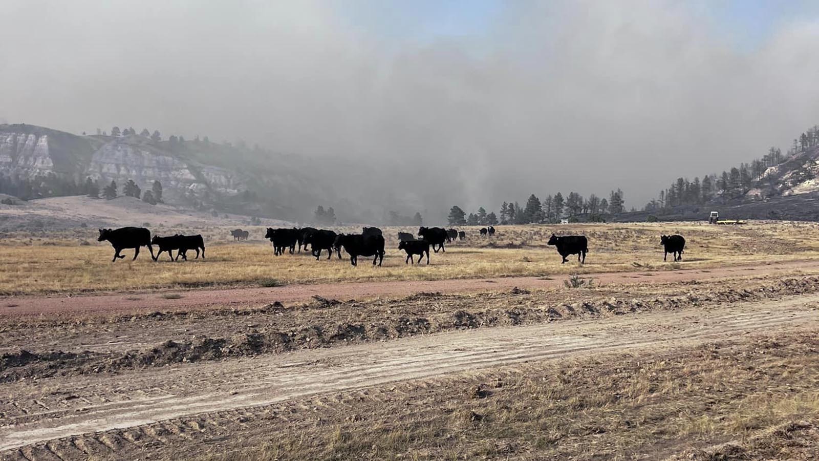 Delcy Bayles shared photos and a report from her ranch near where the Silver Spoon Fire is burning in northeast Wyoming.