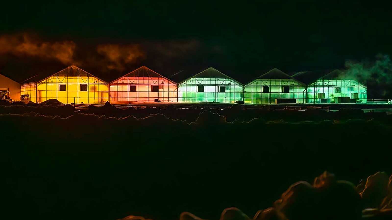 Pinedale Greenhouses Grow 25,000 Square Feet Of Produce At 8,000 Feet Elevation