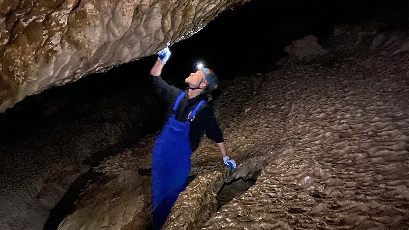 While most interpretive programs involve anything from hiking to petting ferrets, the more daring visitors can join in adventures underground which require squeezing through tight spaces and crawling beneath rock to reach an underground river at the Sinks Canyon State Park.