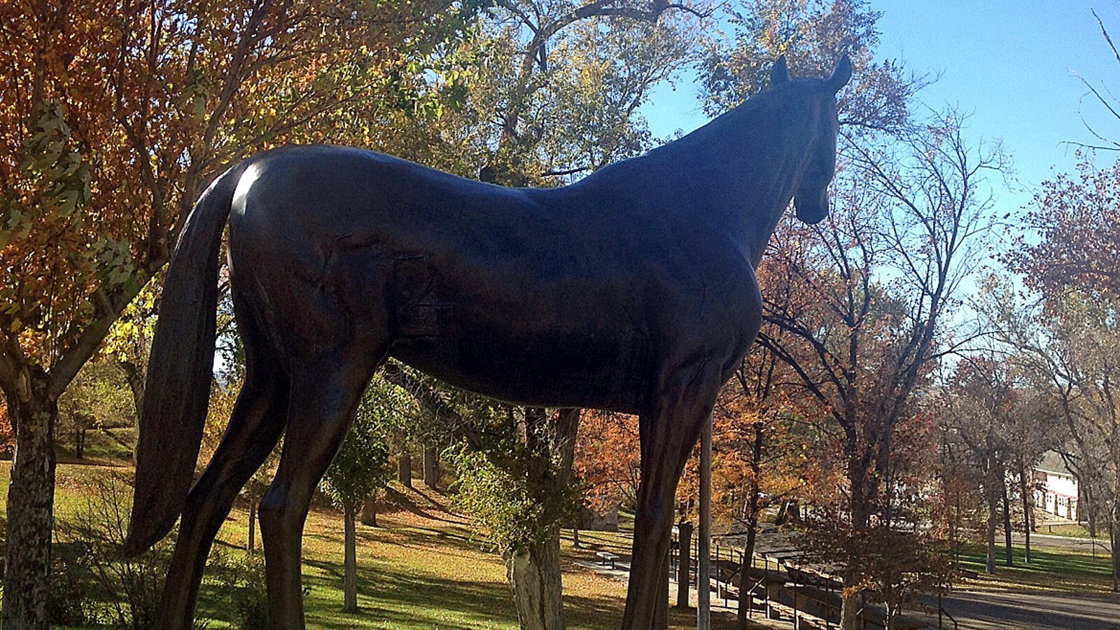 Sir Bartons Statute from City of Douglas 1