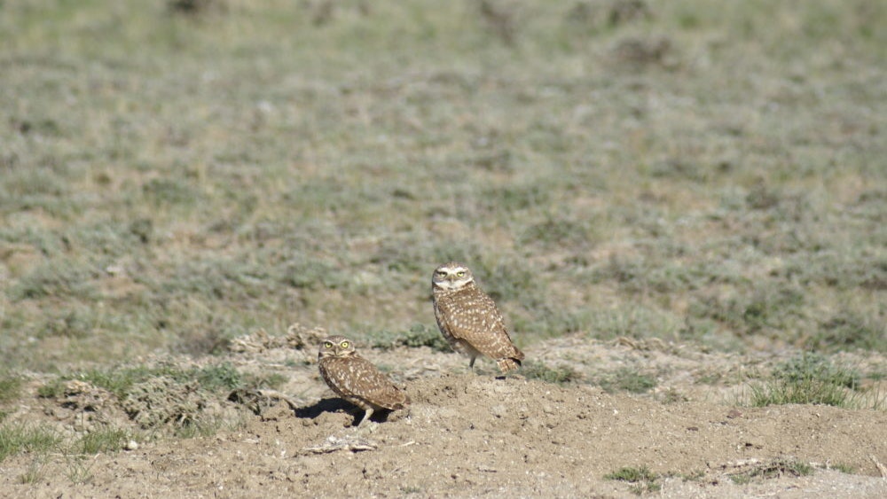 Size Diff copy e1558361977622