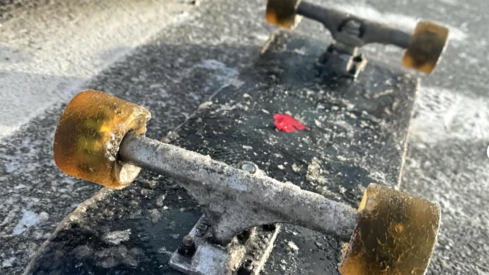 Worn wheels of Jason Vanporppal's skateboard after hundreds of miles of skating and challenging icy conditions.