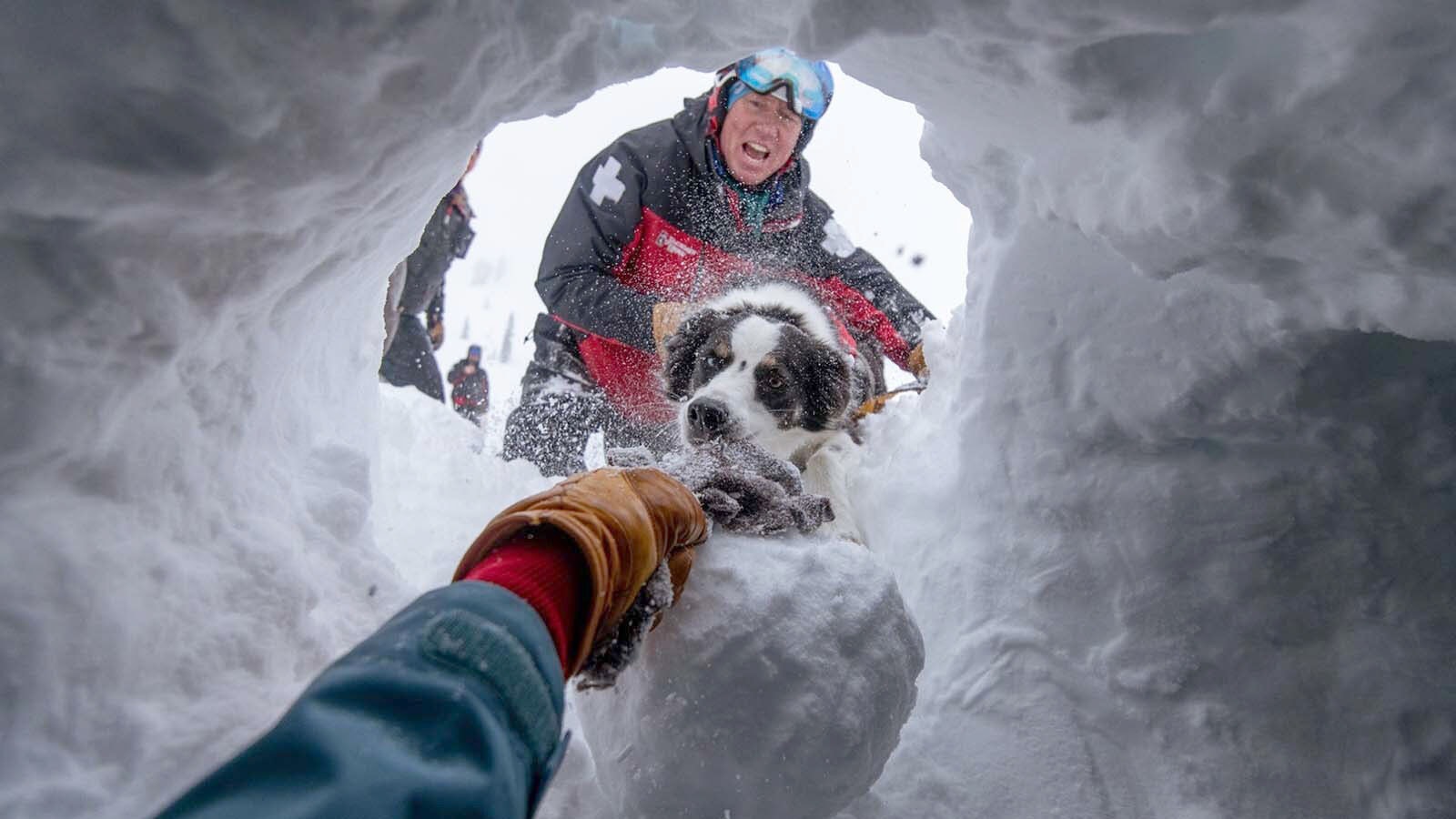 Jackson Hole Mountain Resort's nearly 90 ski patrollers in ultra-wealthy Teton County are pushing for a vote to unionize. They say dangerous work, long commutes and soaring housing costs make it nearly impossible to live in the community they protect. Above, a patrol member trains with one of the team's celebrated dog patrol members.