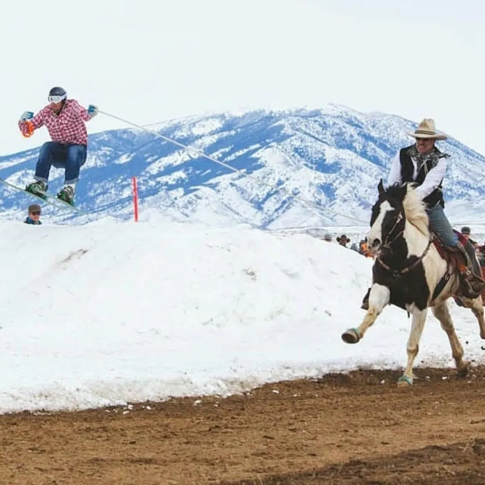 Skijoring
