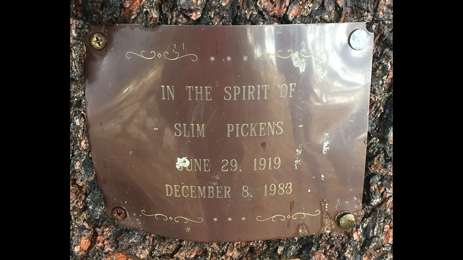 Slim Pickens' ashes are scattered near Wolf Lake in the Wind River Range. A plaque nailed to a tree marks the spot.