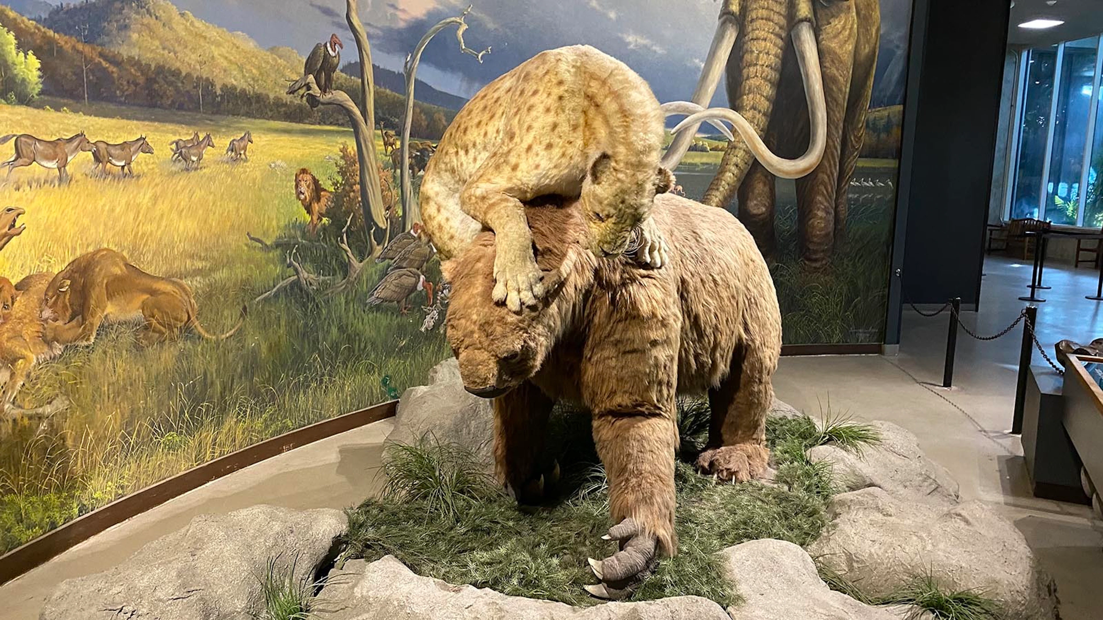 Ground Sloths And Saber-Toothed Cats Didn't Like Wyoming 30,000 Years ...