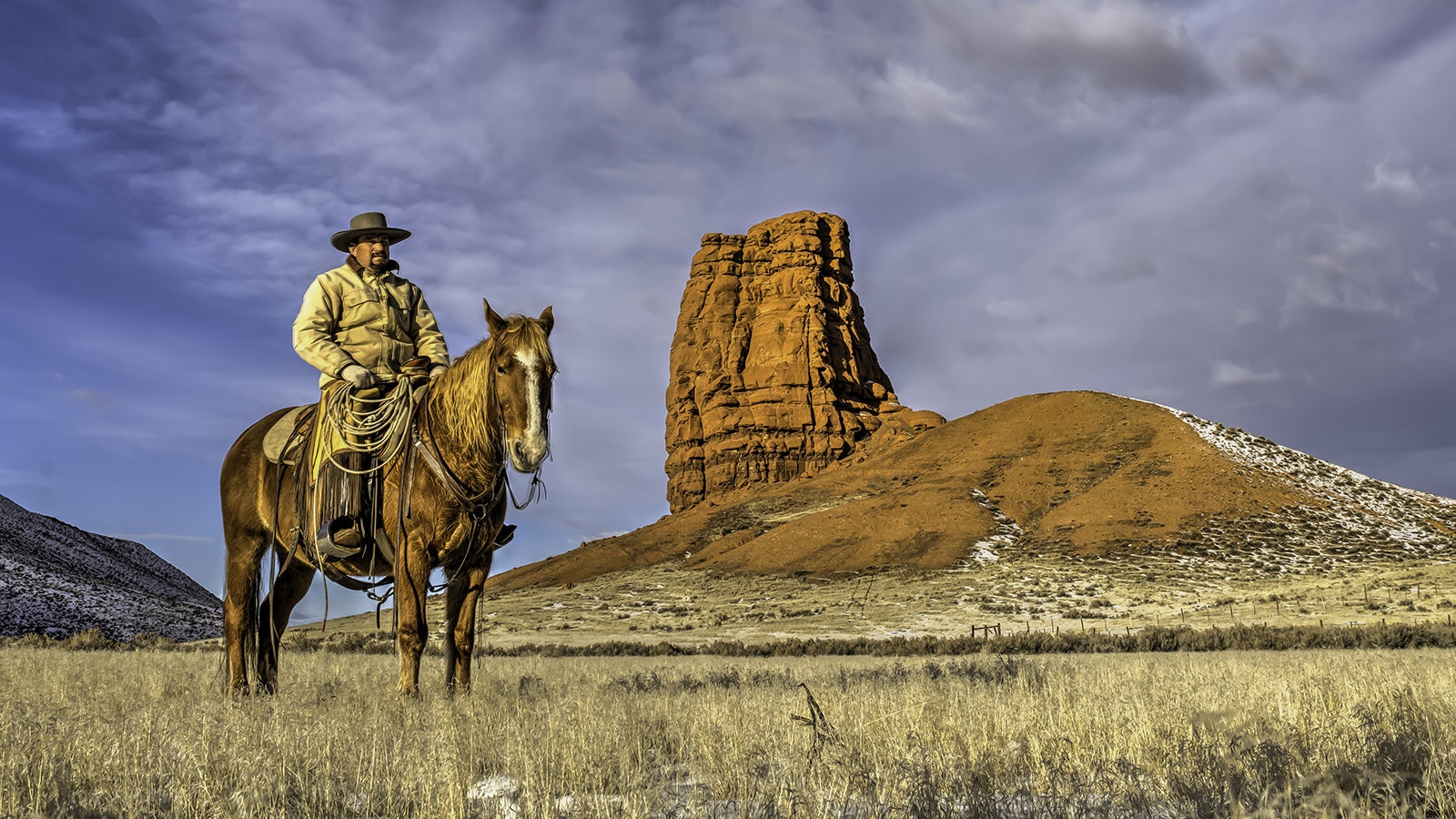 A new study says horses may be smarter than previously thought, but that's not news for most Wyomingites who know horses better than most.