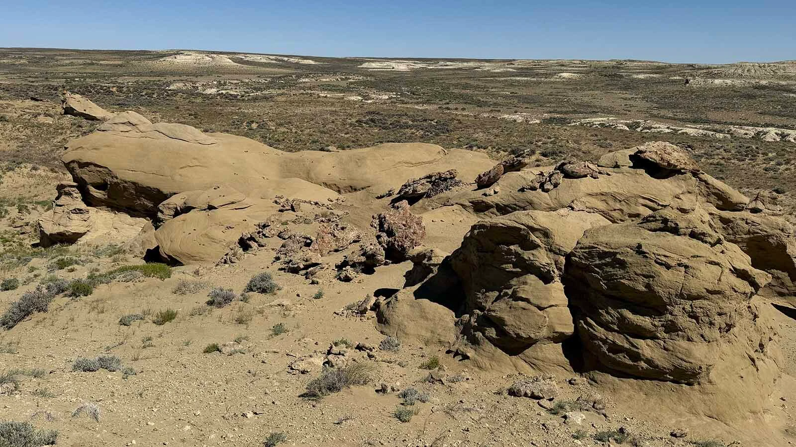 The sandstone of the Wasatch Formation in Sweetwater County. This formation, and much of Wyoming, is rich in Eocene fossils, including three recently discovered prehistoric primates from the Smiley Draw site.