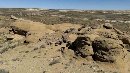 The sandstone of the Wasatch Formation in Sweetwater County. This formation, and much of Wyoming, is rich in Eocene fossils, including three recently discovered prehistoric primates from the Smiley Draw site.