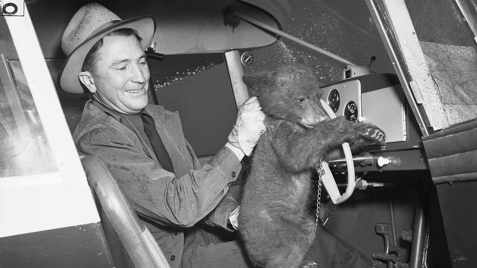 June 29, 1950, Smokey, a 3-month-old black bear cub who survived a fire in Lincoln National Forest, New Mexico, arrives in Washington, D.C., by special plane for presentation to the Washington National Zoo as a living reminder to the children of America of the danger of forest fires. Homer C. Pickens, assistant state game warden of New Mexico, is shown with Smokey.