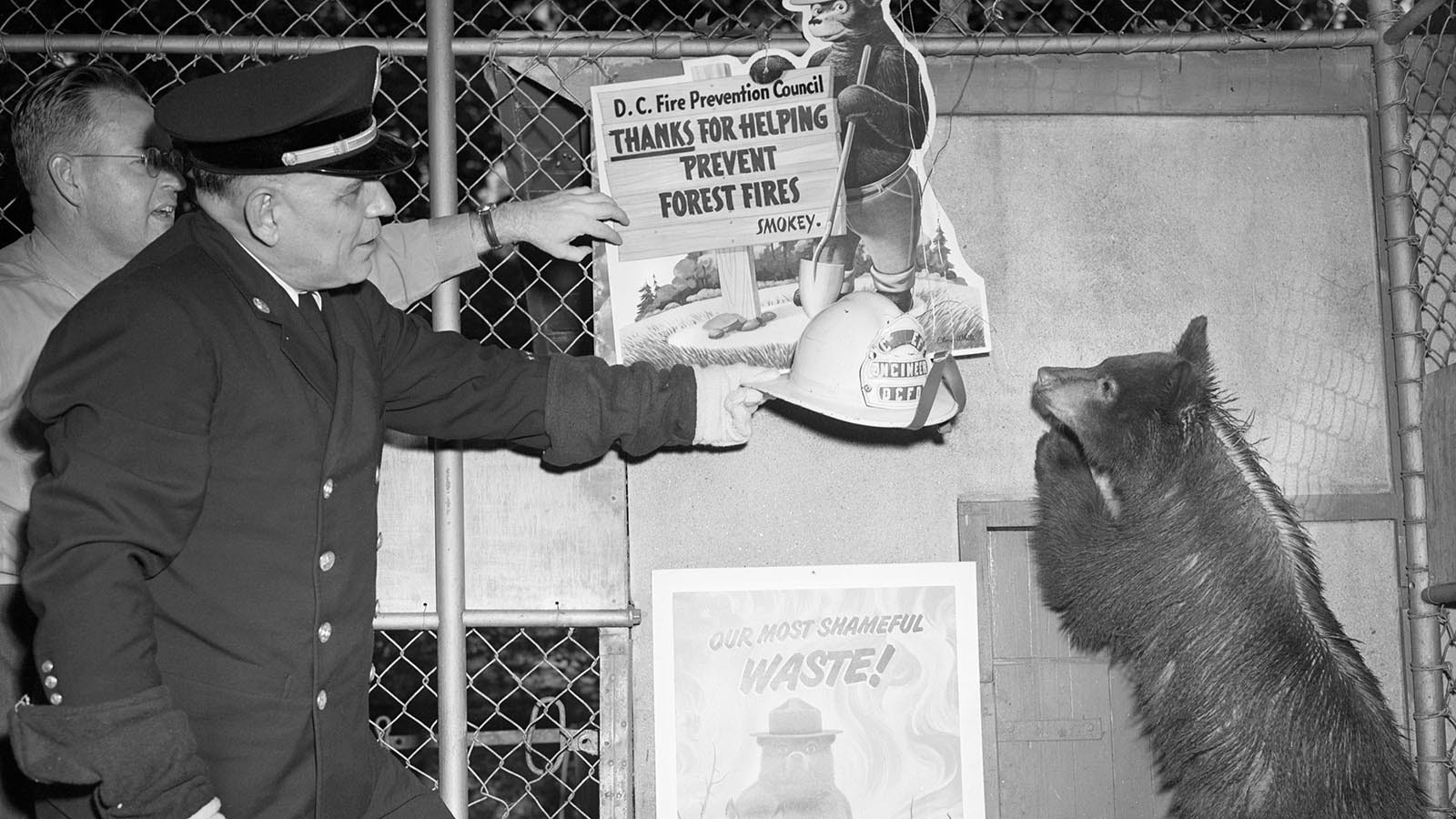 On Oct. 3, 1950, Smokey Bear became an honorary member of the Washington Fire Department.