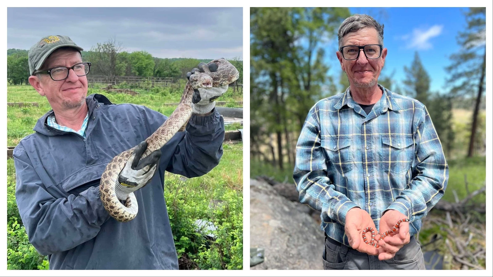 Matt Rasmussen, vice president of the Wyoming Herpetological Society, is an expert at herping, finding amphibians and reptiles in their native habitat. He is inviting others to safely search Wyoming for secretive creatures that are not as rare as you may think — only good at hiding.