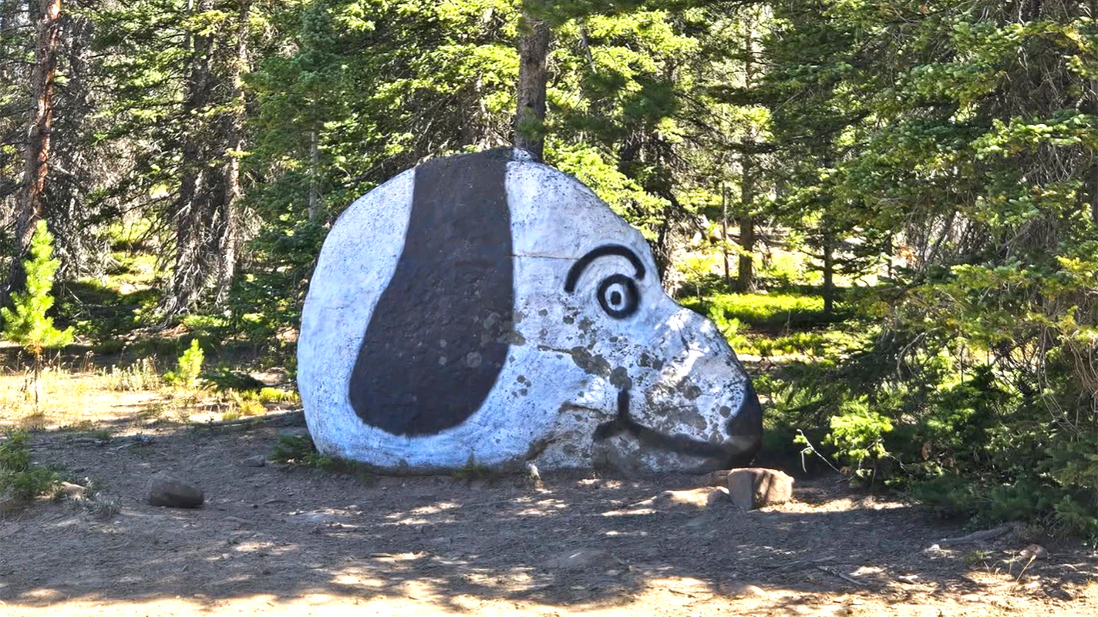 Somewhere on the long dirt road to Hog Park in Carbon County, Snoopy is still waits after 30 years. Nobody knows who painted the giant beagle on a Sierra Madre boulder on the Medicine Bow-Routt National Forest, but Wyoming families have grown up watching for him.
