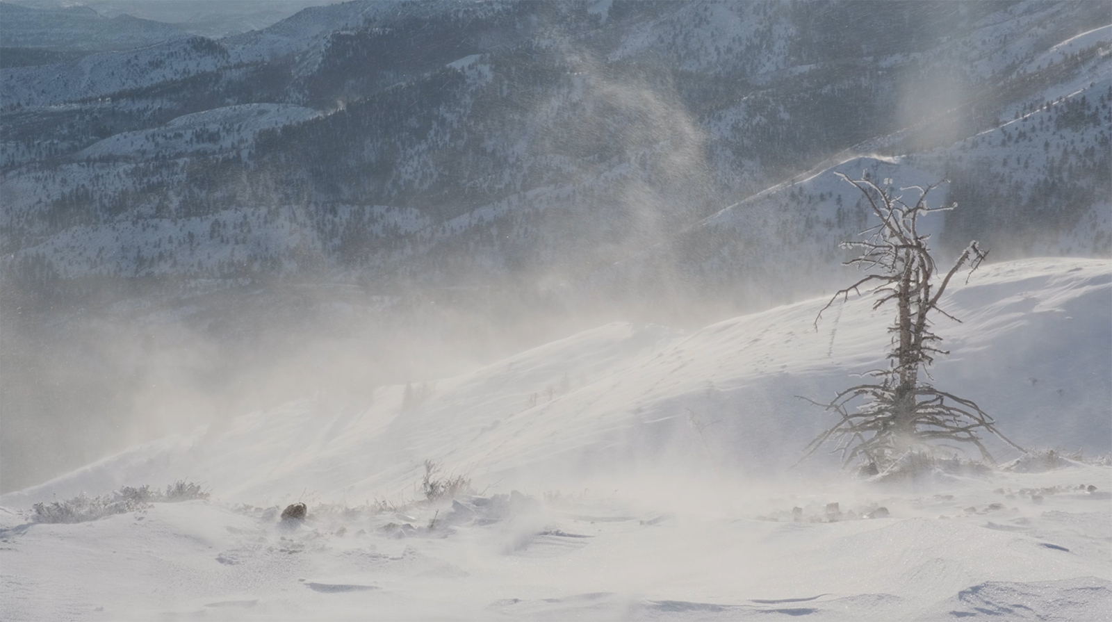 What The Heck … Are Snow Squalls, And Where Do They Come From? | Cowboy ...