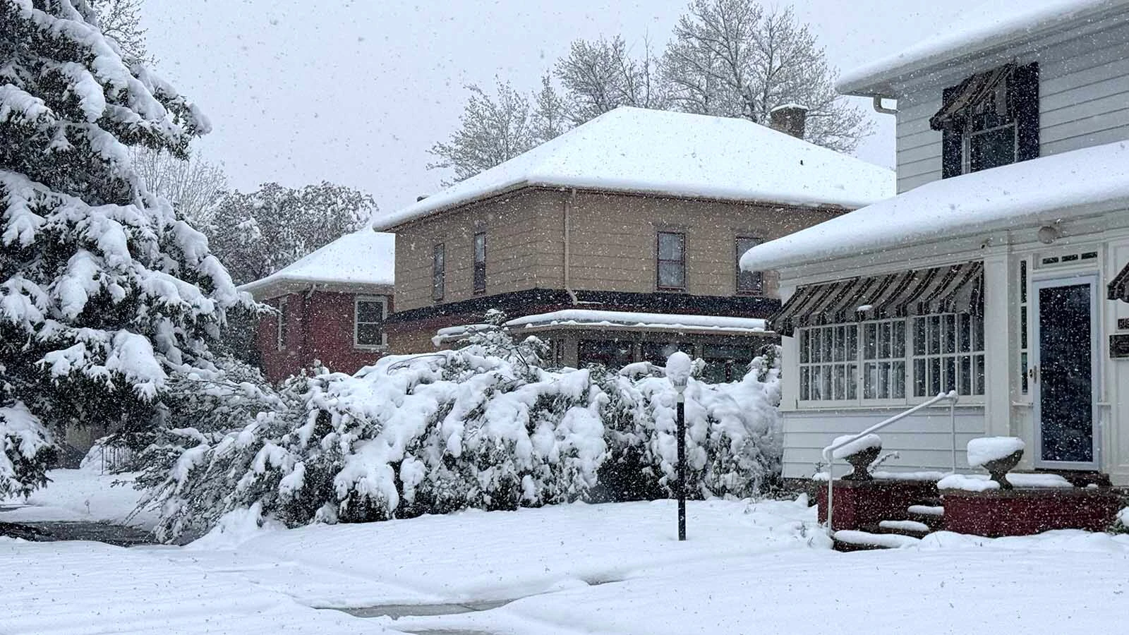 Several inches of wet, heavy snow are bending trees and bushes around Cheyenne on Tuesday, May 5, 2026, with more expected.
