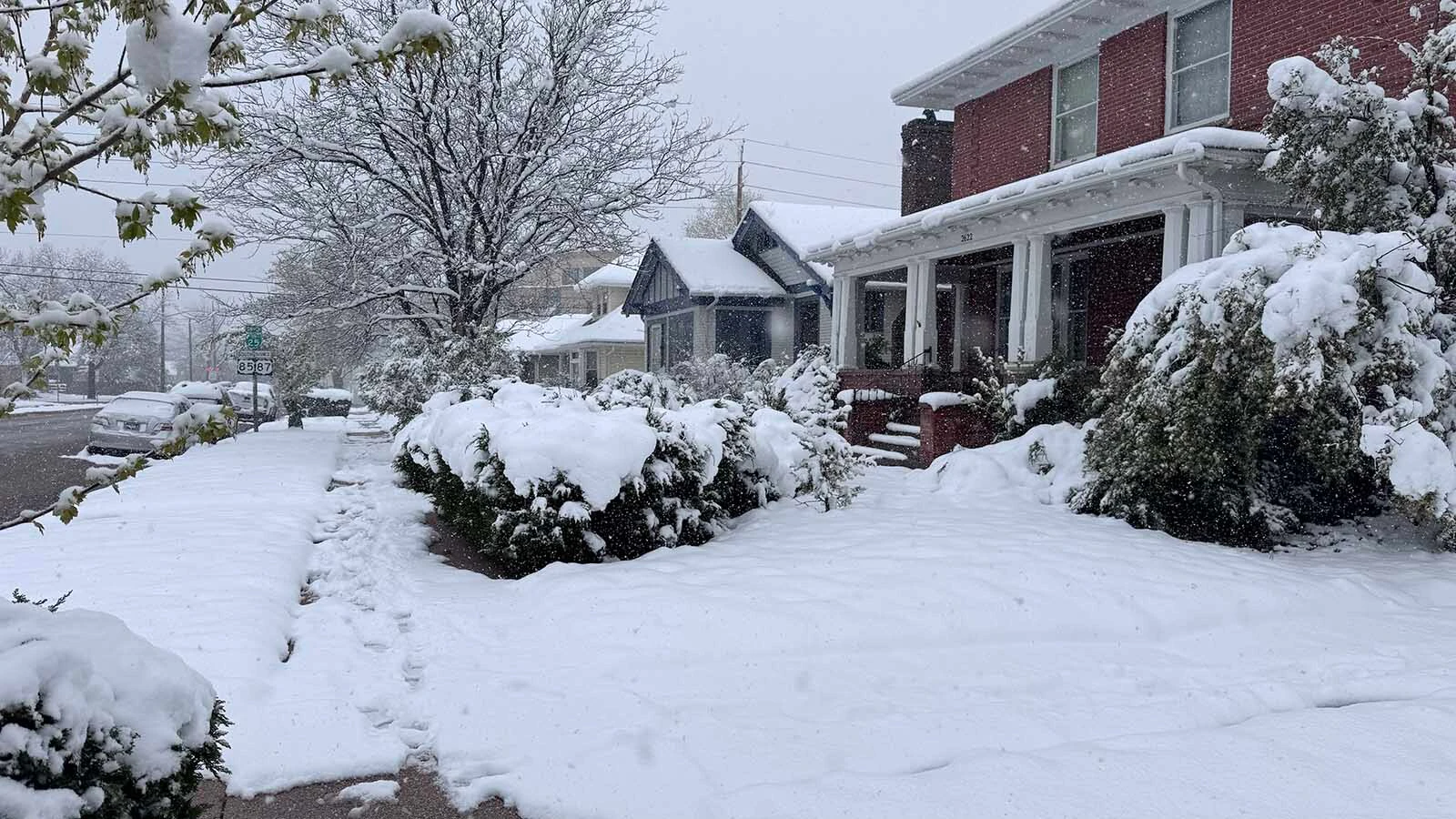 Several inches of wet, heavy snow are bending trees and bushes around Cheyenne on Tuesday, May 5, 2026, with more expected.