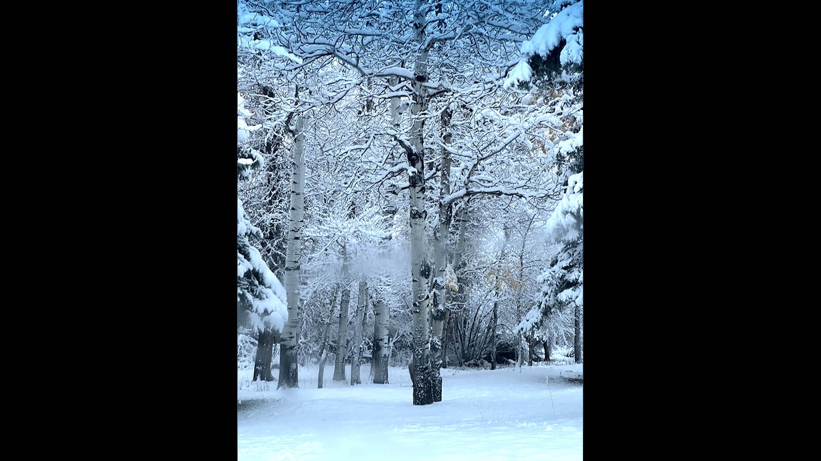 It's looking a lot like winter in Wyoming, which significant snowfall in areas around the state, like this image from Lander on Wednesday, Oct. 30, 2024.