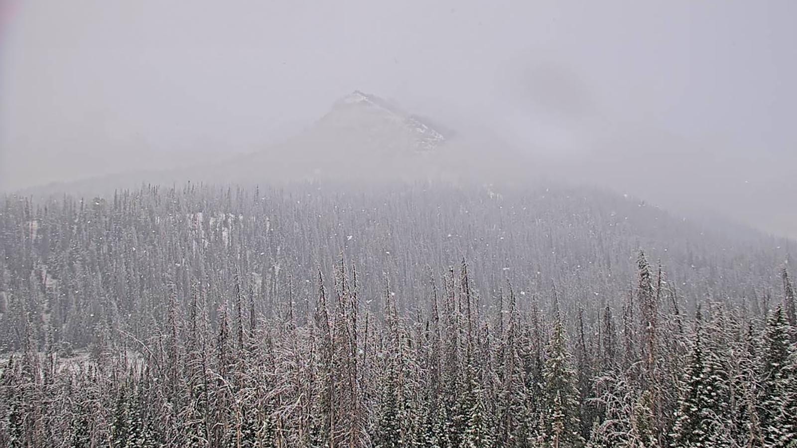 A screenshot from a Wyoming Department of Transportation highway camera shows snow falling on U.S. Highway 26/287 near Wind River Lake on Monday morning.