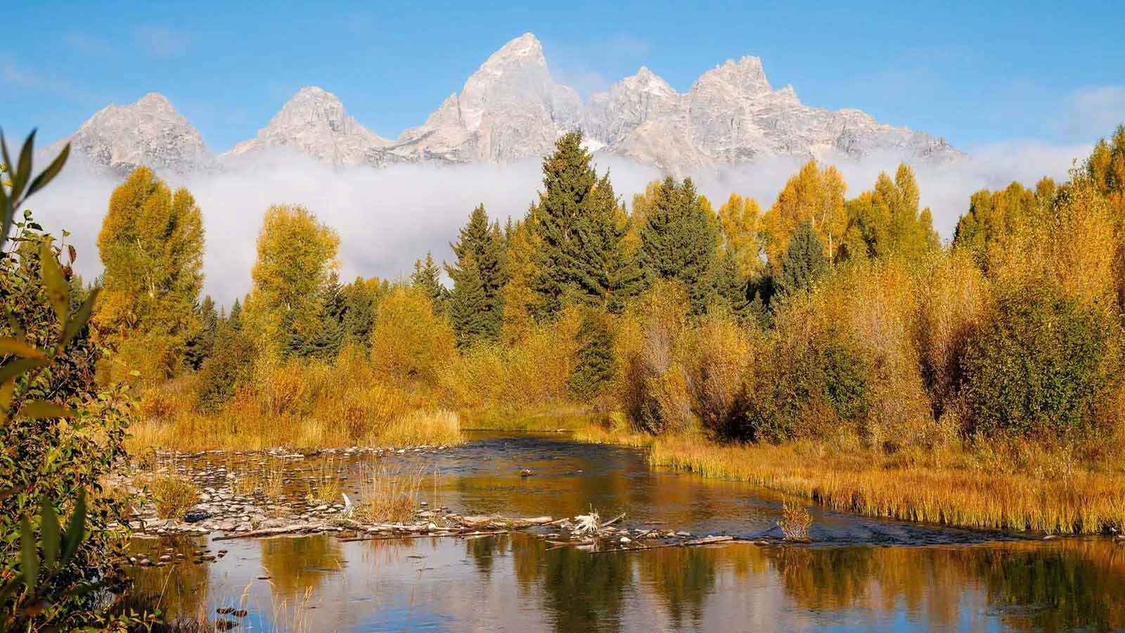 Snow blankets the Tetons while fall colors still linger at lower elevations.