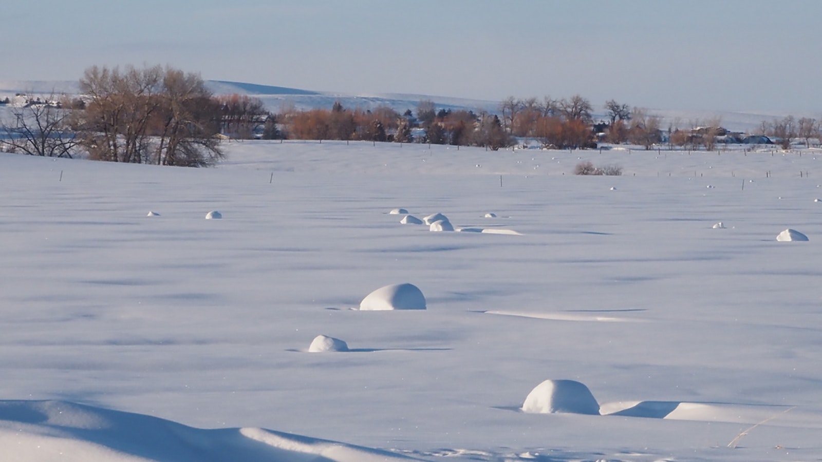 Snow rollers dot a field in Albany County near Laramie. They have a thin layer of snow over them and had grown to the size of office water coolers.