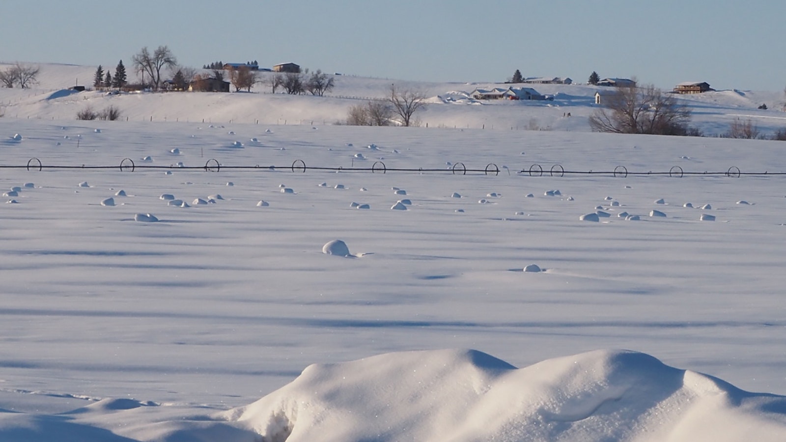 Snow rollers dot a field in Albany County near Laramie. They have a thin layer of snow over them and had grown to the size of office water coolers.