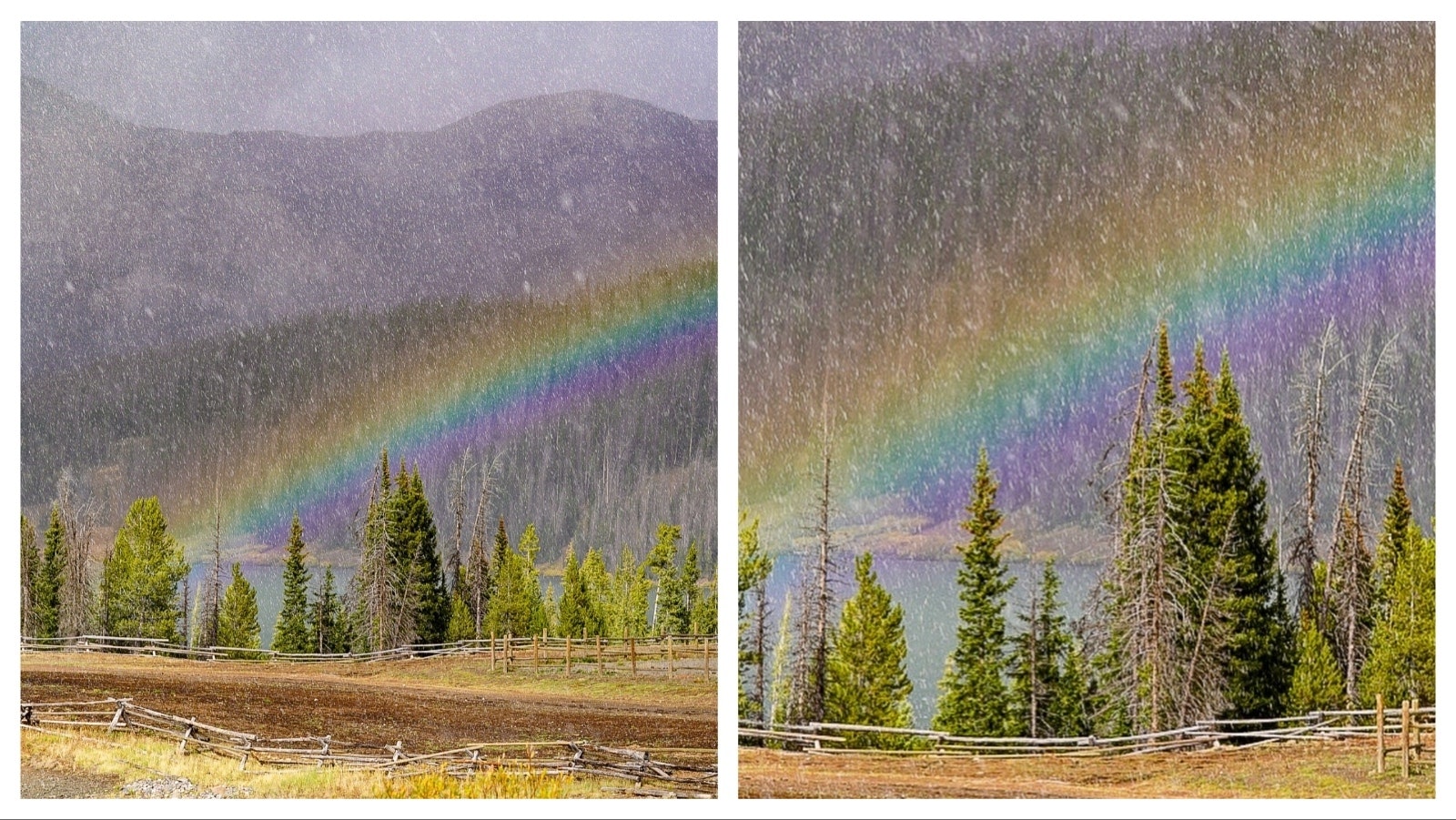 A brilliantly colored snowbow appeared during a Monday evening snowstorm at the Brooks Lake Lodge in Wyoming's Wind River Mountains. Snowbows are the same phenomenon as rainbows, but they're much rarer and harder to see and photograph.