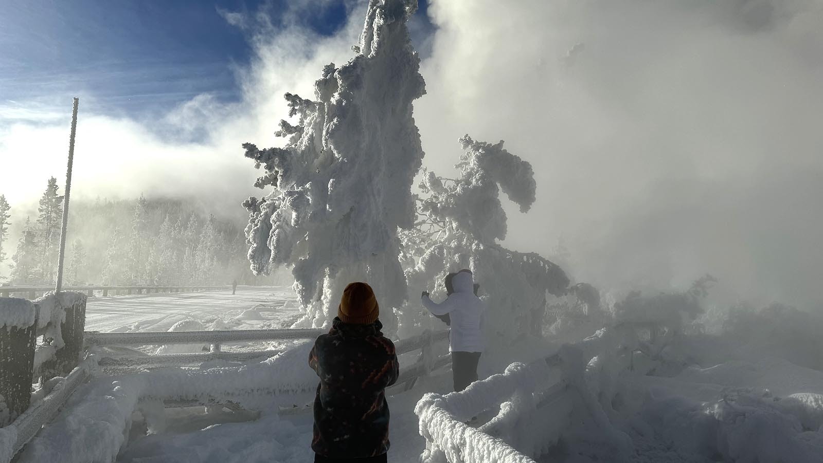 A snowcoach passenger takes a photo of "rime ice" covering the trees and boardwalks in Yellowstone National Park. Rime ice forms when supercooled water droplets freeze onto whatever surface they contact, one of the many unique winter sights in the park.