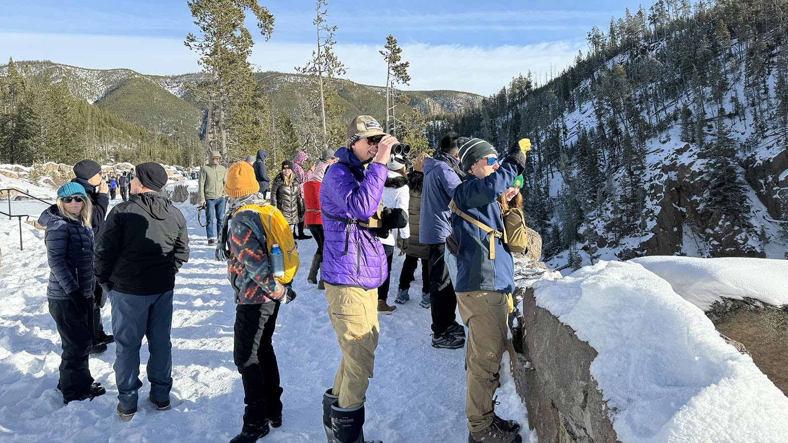 Taking photographs and learning more Yellowstone factoids at the Gibbon Falls overlook.