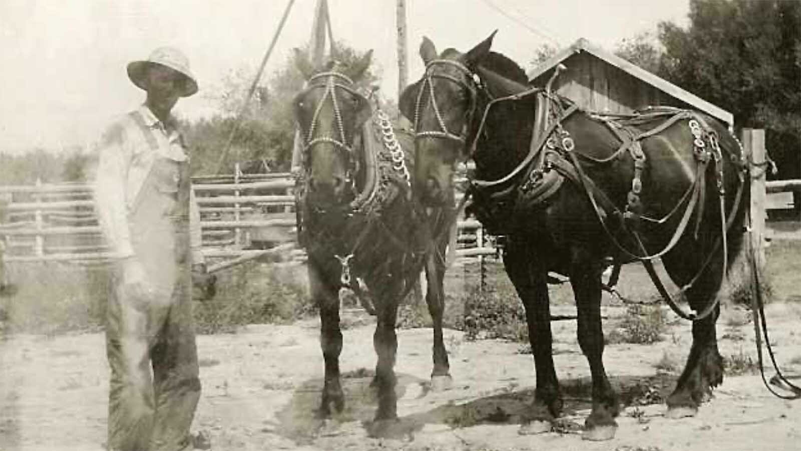 H.L. Wiese poses with horses during the Great Depression. He grew up poor and only finished the seventh grade.