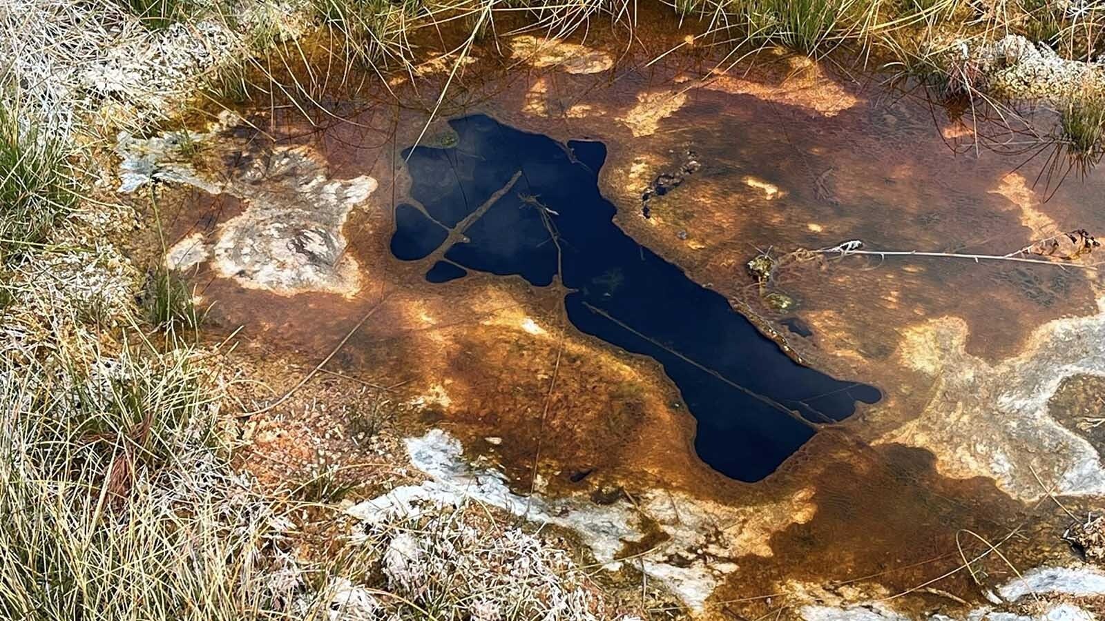 A widespread bacteria called "soap scum" grows in Yellowstone National Park's thermal pools that on the surface doesn't seem that unique. Ongoing studies into this complex organism are revealing that how it survives might also help humanity survive.