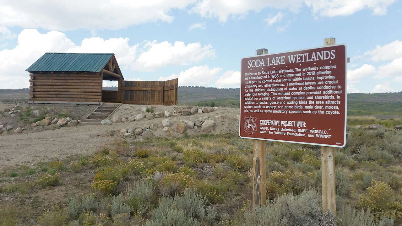 Some Claim Wyoming Game And Fish Project Caused Nosedive Of Trout In ...