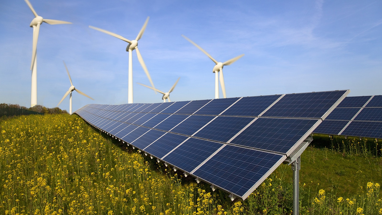 Energy Expert: Report That Renewables Are Going To Overtake World