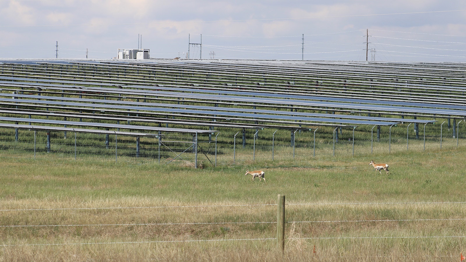 This 150-megawatt solar farm along the South Greeley Highway south of Cheyenne is owned by Atlanta-based Southern Co. and is close to supplying Black Hills Energy with power. It's also in the middle of Wyoming's Hail Alley.