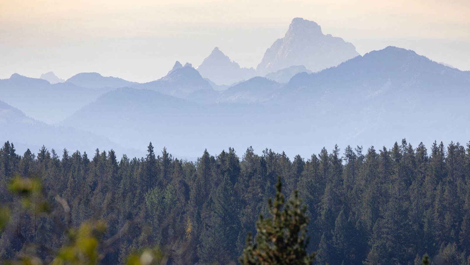 There's a lot of pristine wilderness that can be accessed through the Cascde Corner entrance to Yellowstone.