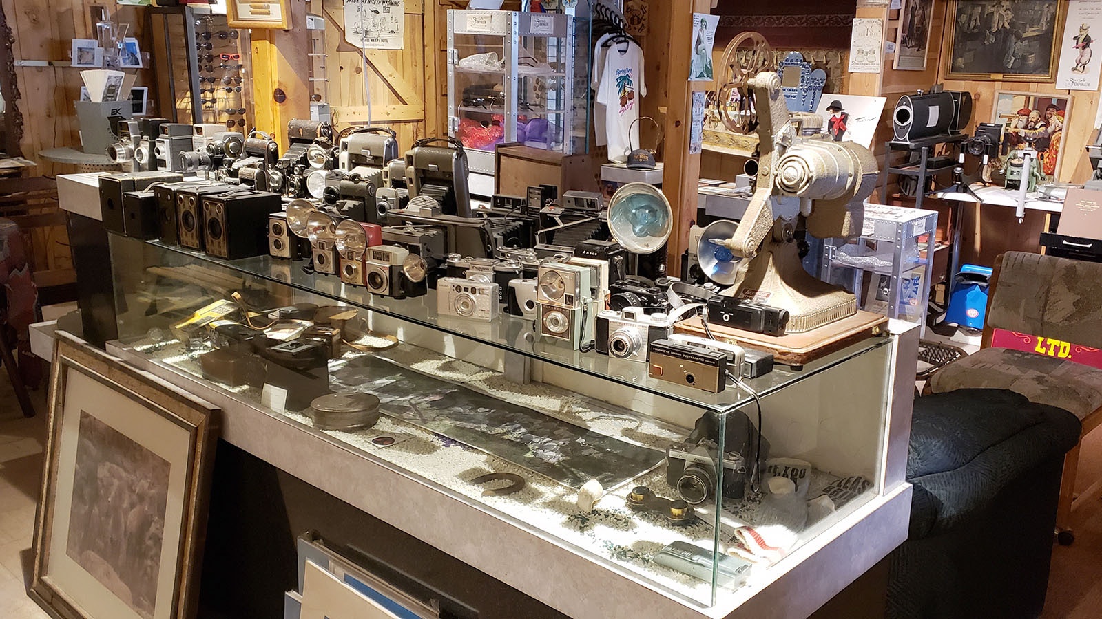 All things with lenses are on display at the Spectacle Emporium in Downtown Laramie, like these vintage cameras.
