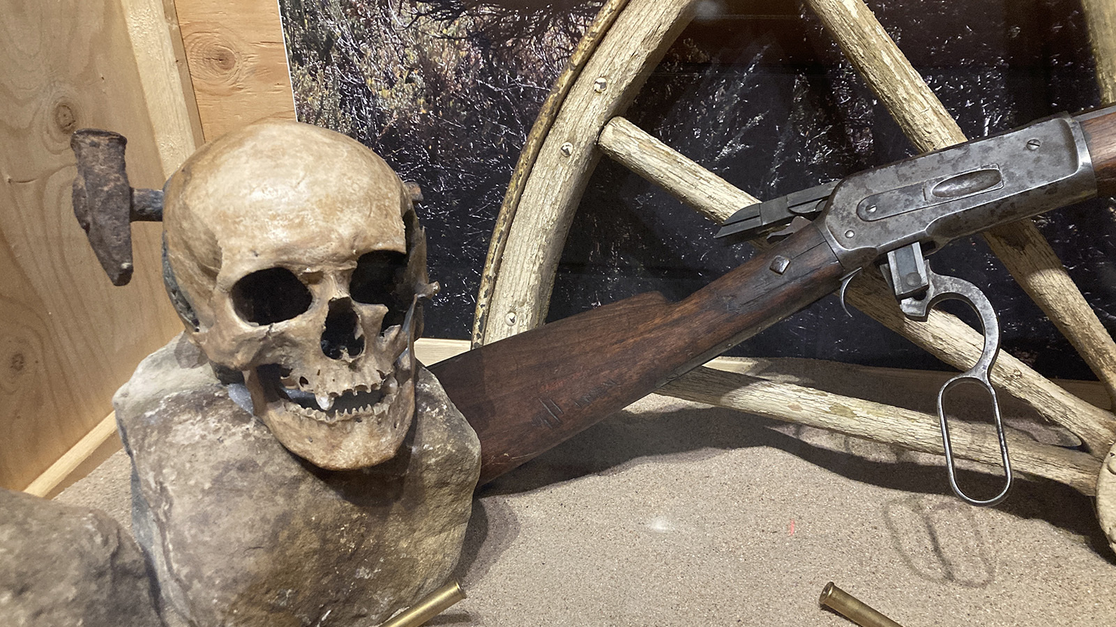 Spike skull IMG 4371 6 24 23