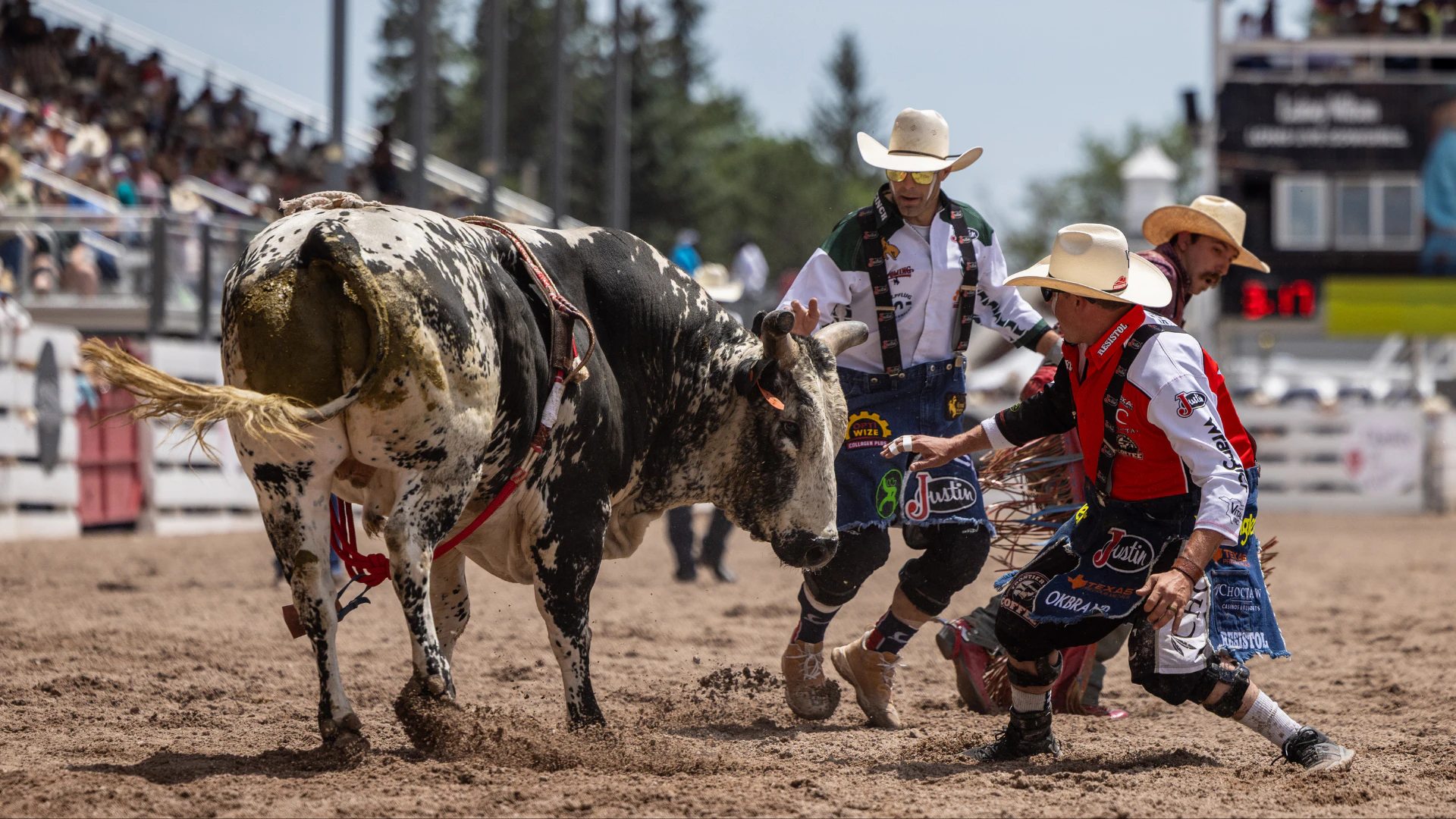 CFD’s Xtreme Bulls was named the 2025 PRCA Xtreme Bulls Event of the Year.