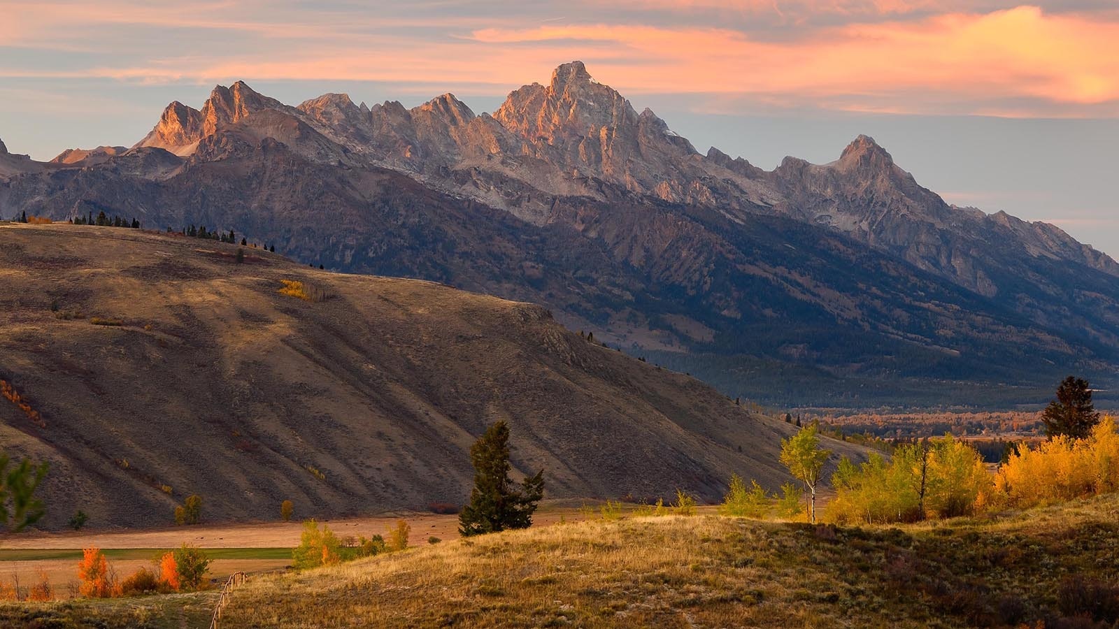 Two adjacent 40-acre lots in Jackson Hole’s elite Spring Gulch area are headed to auction for $21.4 million. They're marketed mainly for their rare views and wildlife neighbors rather than the homes already on them.