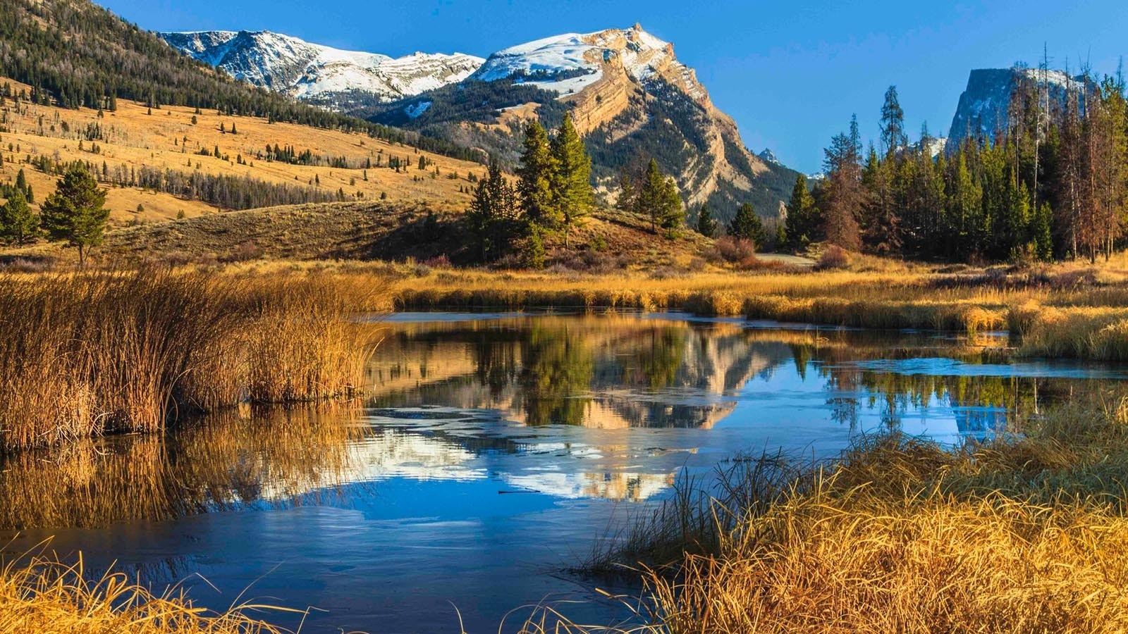 The view looking down the Green River to Squaretop Mountain in western Wyoming is one of the state’s most recognizable landmarks, even being on the license plate. Now the Dollar Lake Fire is threatening to change that.