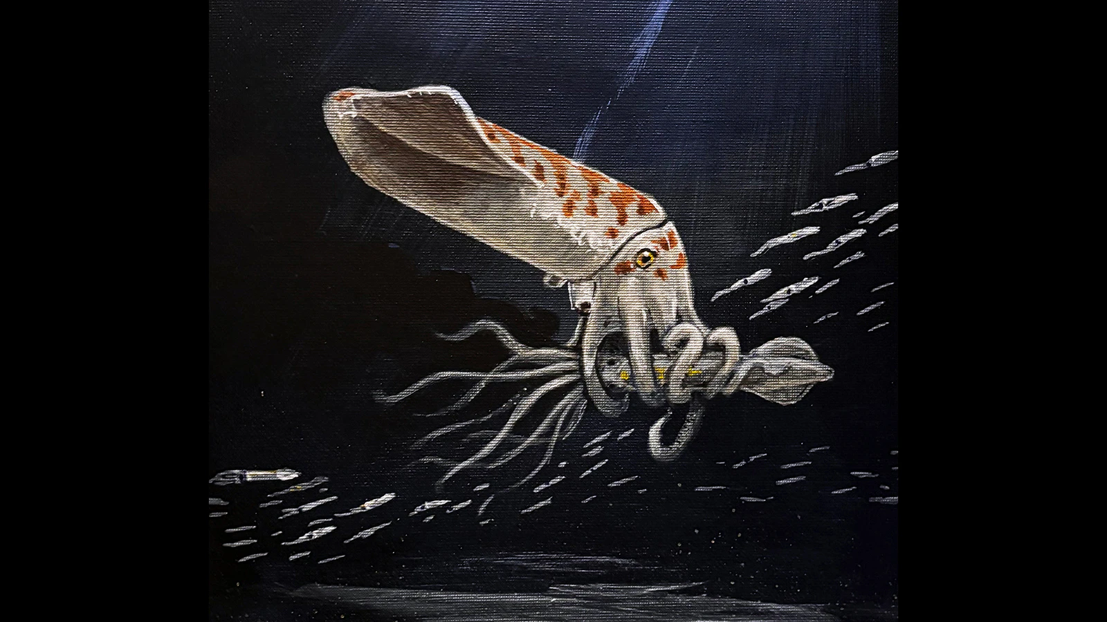 A life restoration of Wyoteuthis hunting a small species of belemnite in the Sundance Sea by paleoartists Jason Poole.