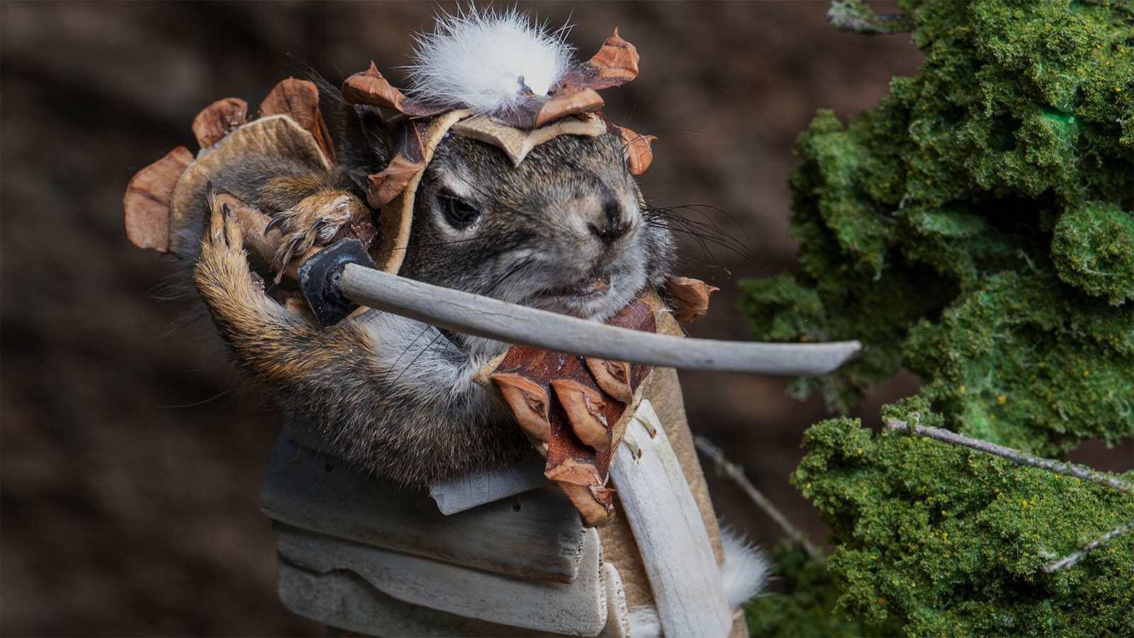 Montana artist and taxidermist Bob McEachern’s Squirrel Warriors sell out as fast as he can make them. These whimsical and realistic creations are much more than a novelty.