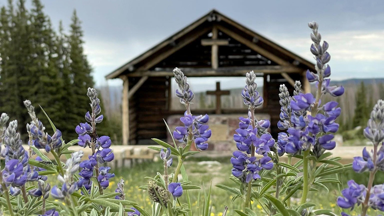 In the height of summer, beautiful wildflowers surround St. Alban's Chapel.