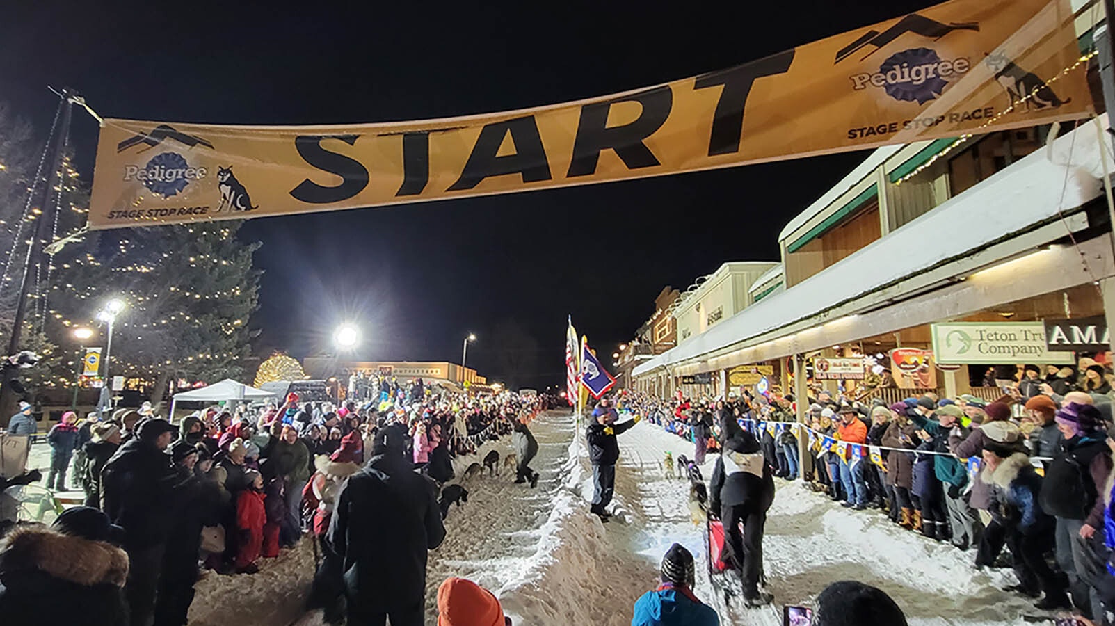Ceremonial start of the Pedigree Stage Stop Sled Dog Race in downtown Jackson, Wyoming.