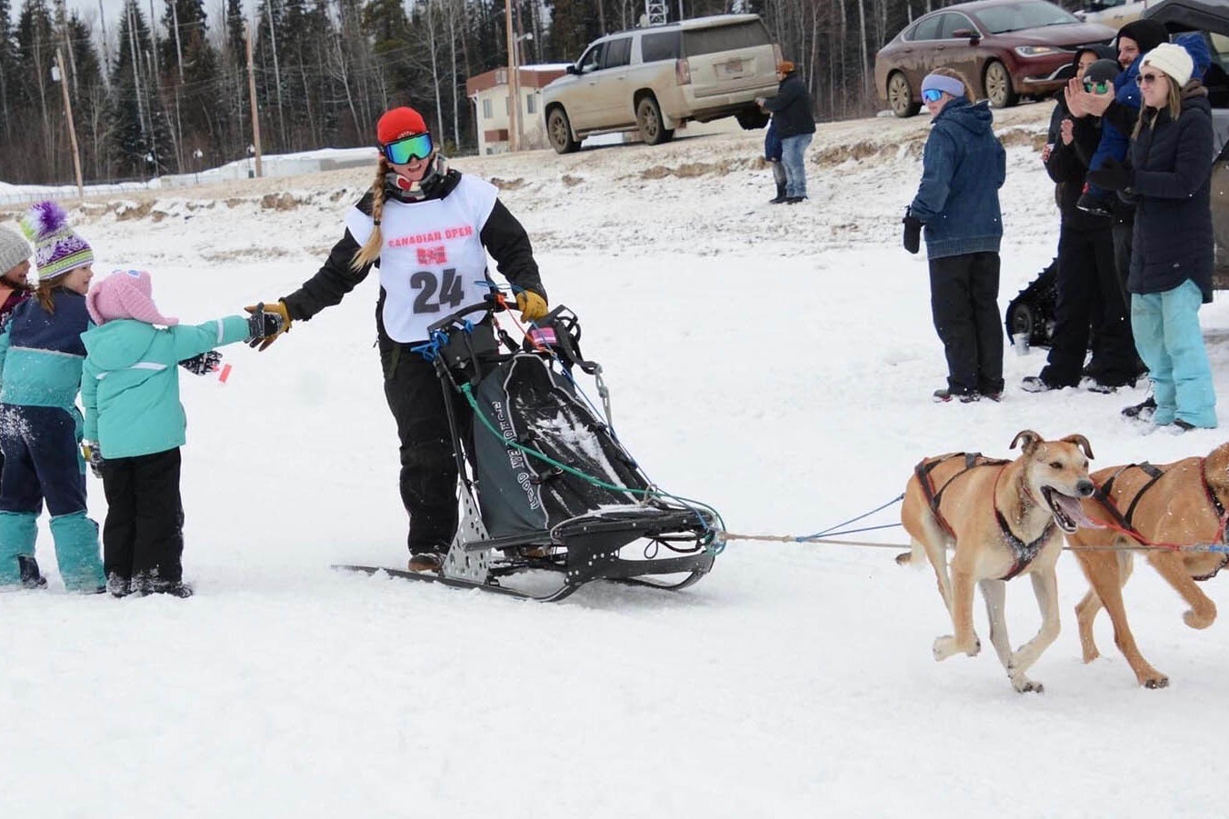 Jess Moore runs the Canadian Open in Fort Nelson, British Columbia, last April. Now the Jackson rookie will run in one of the most prestigious sled dog races in North America.