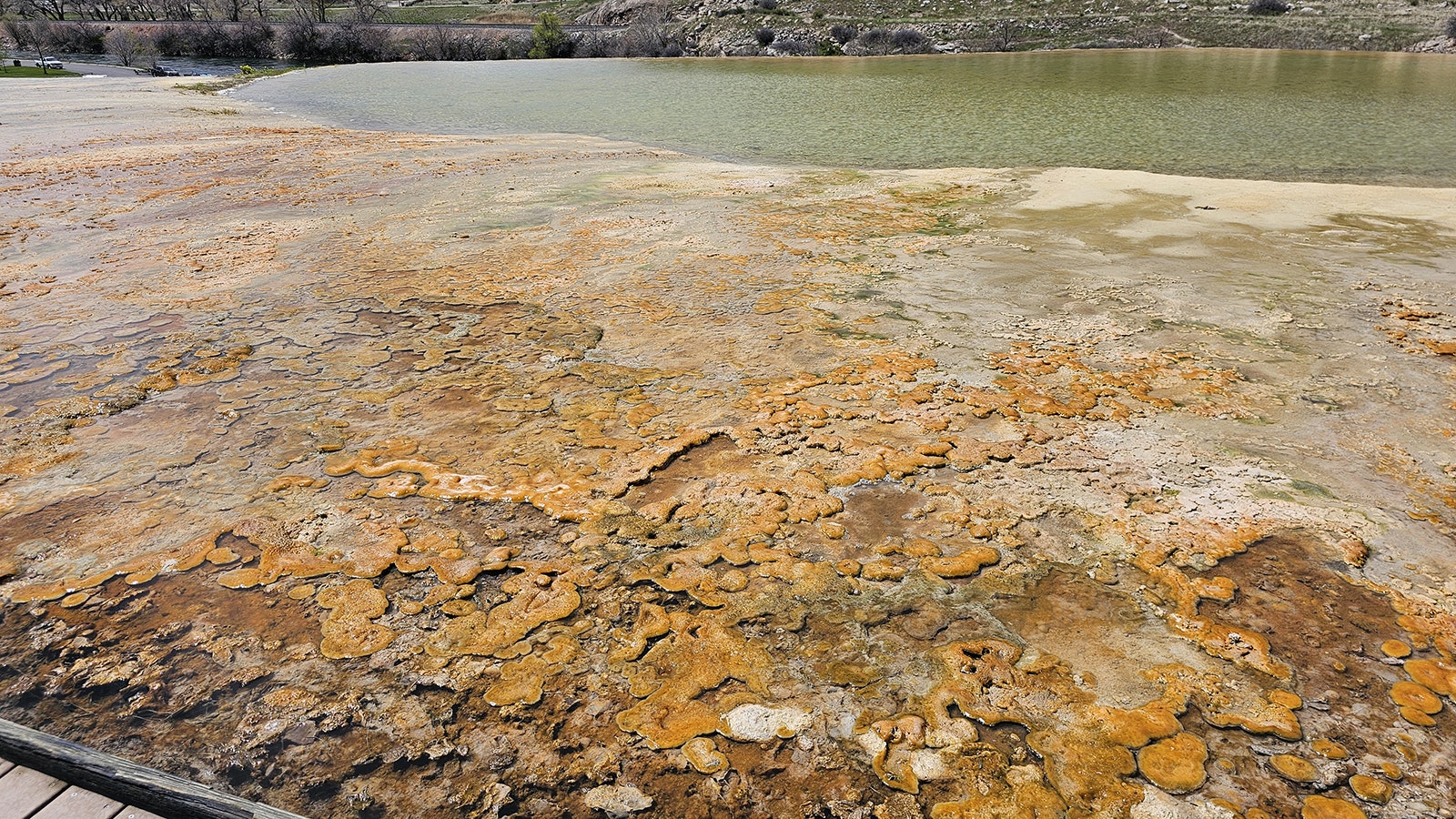 While some of the algae at Hot Springs State Park is blue and green, here it is deep orange and rusty red. The temperature of the water and the minerals present are what determine the actual color of the algae that grows in the thermal waters.