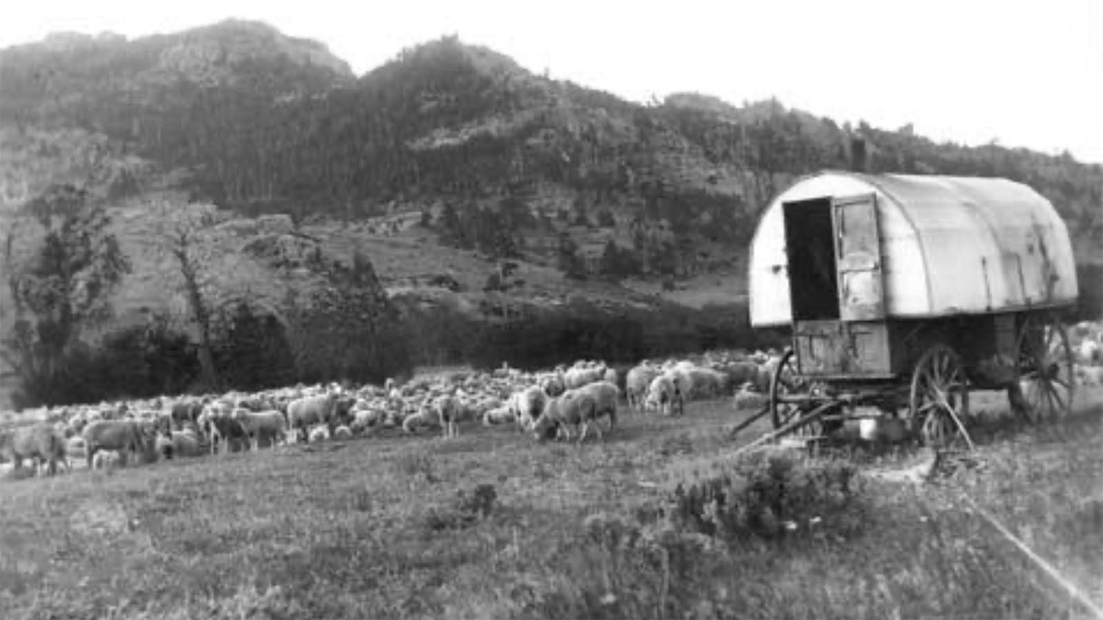 The sheep camp where the girl and her mother, Mrs. Powers,  the cook, live and worked likely had a sheep wagon similar to this one. This photo from the Wyoming State Archives is of an unknown location.