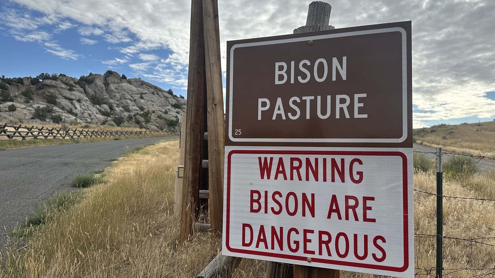 As visitors enter the Bison Pasture at Hot Springs State Park, they are warned that the bison are dangerous. Staff remind folks that the bison are not cuddly and to stay at least 100 feet away when not in your vehicle.