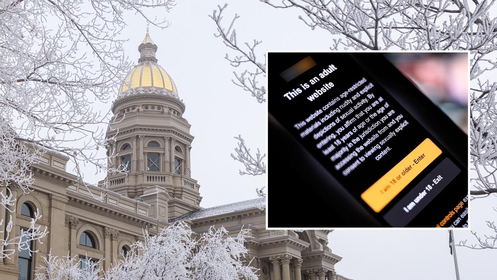 The pornography industry did not show up challenge a Wyoming bill that would require porn websites to verify ages with IDs before allowing access. After unanimously passing out of committee Feb. 20, 2025, the bill will be debated by the full Senate. 